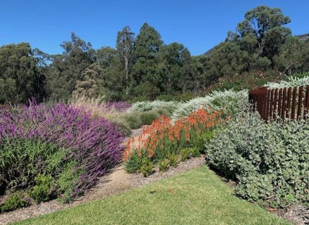 Sculpture-Estate-Pokolbin-Garden-in-flower.jpeg