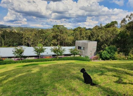 Sculpture-Estate-Pokolbin-Top-view-of-property-1.jpeg