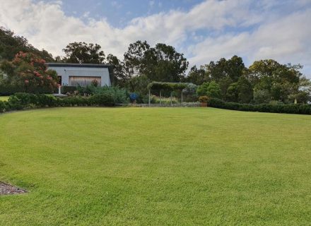 Sculpture-Estate-Pokolbin-lawn-view-back-to-studio.jpeg