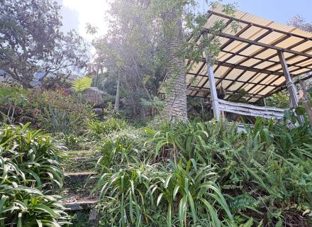 Sea Arc, Palm Beach-5