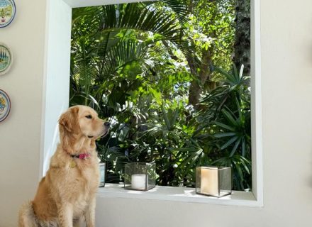 Seagrass House, Avalon Beach-01