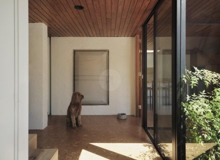 Sequoia, Willoughby East 38