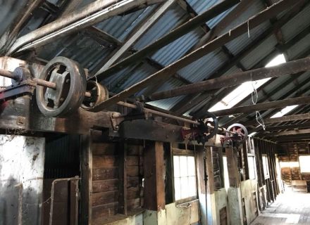 Shearing-Shed-1.jpg