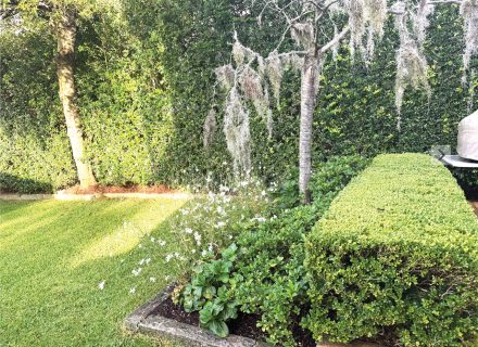 garden established
