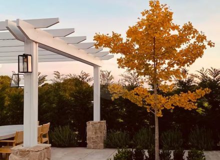 Silk Cottage, Mornington-37