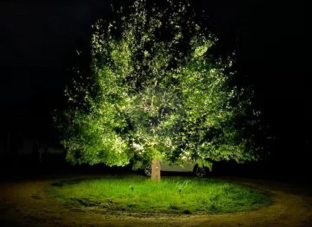 Silk Cottage, Mornington-40