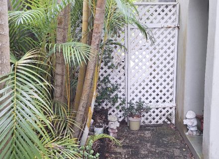 Silva, Balgowlah_3