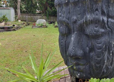 Silva, Balgowlah_5