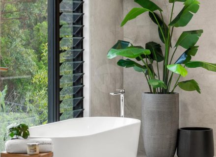 Silvergum, Tallebudgera-10