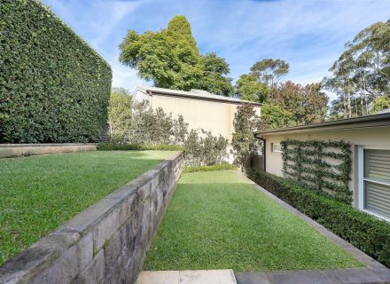 Snowdrop, Chatswood 13