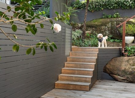 Snowdrop, Chatswood 8