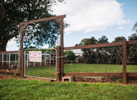 Social House, Tamborine Mountain-63
