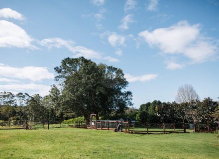 Social House, Tamborine Mountain-75