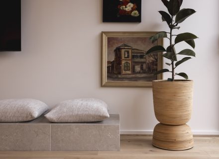Solé, Adelaide-27