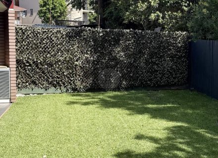 backyard garden established pool