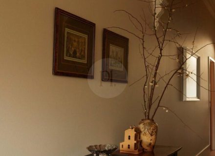 Sorelle, Malvern East - 9