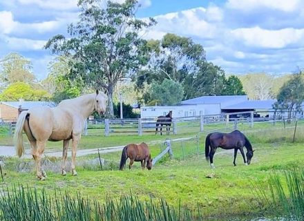 Spirit, Cottonvale-36
