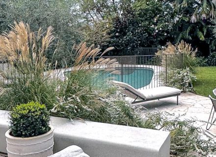 Springtime, Vaucluse 22