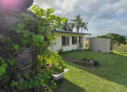 backyard garden established