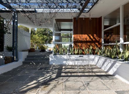 Starburst, Nedlands-11