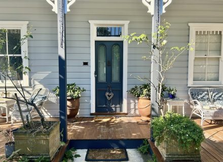 Starfish Cove, Manly 41