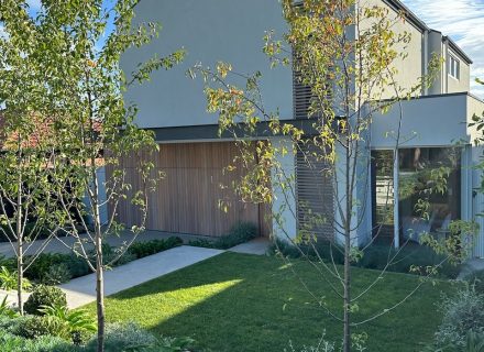backyard garden established