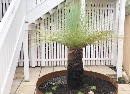 Staycation, Shorncliffe-14