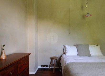 Stone Terrace, Maclean-17