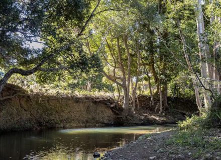 Stonebark House, Middle Pocket - 42