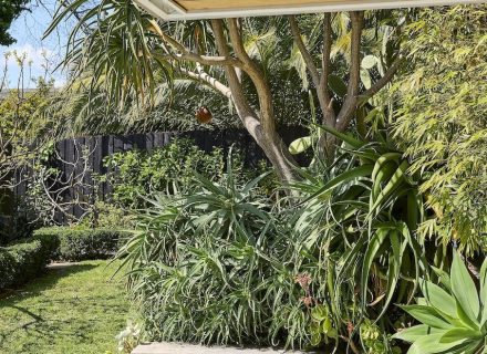 Style, Caulfield North 44