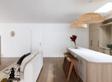 Suede, Allambie Heights_15