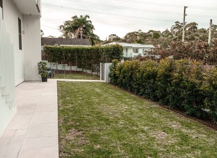 garden established