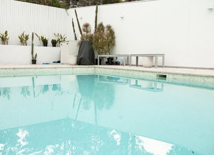Suede, Allambie Heights_40