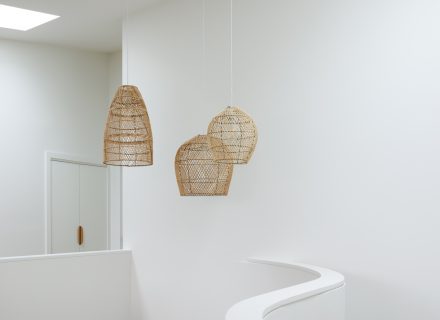 Suede, Allambie Heights_63