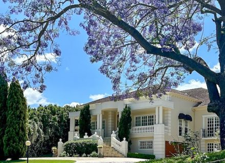 Summer Villa, Pullenvale 39