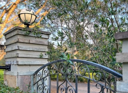 Summer Villa, Pullenvale 47