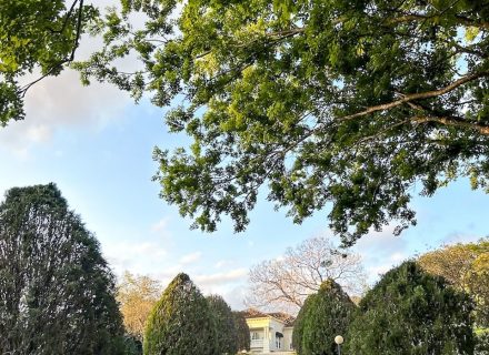 Summer Villa, Pullenvale 52