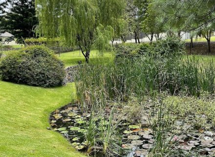 garden established