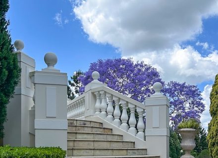 Summer Villa, Pullenvale 68