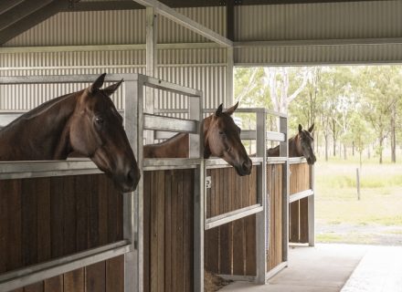 Sun Ranch, Milora_1