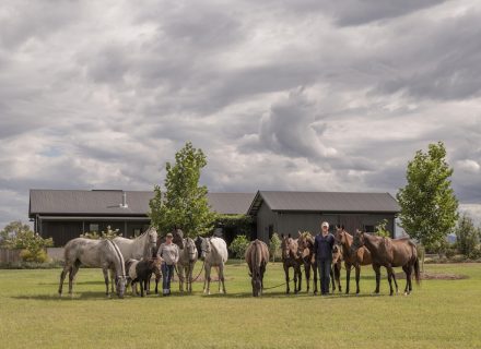 Sun Ranch, Milora_19
