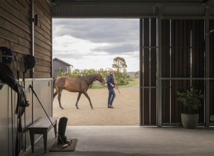 Sun Ranch, Milora_2