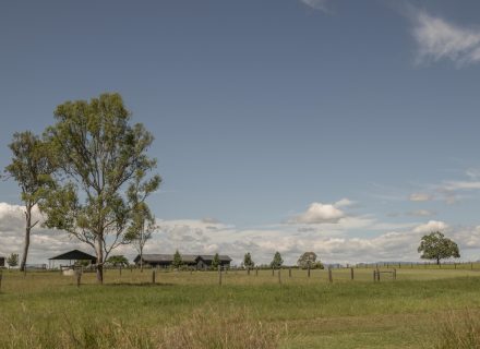 Sun Ranch, Milora_26
