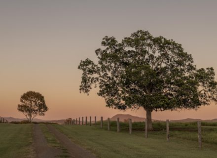 Sun Ranch, Milora_30