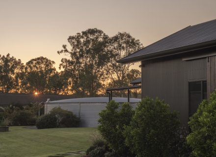 Sun Ranch, Milora_40