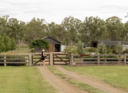 Sun Ranch, Milora_8