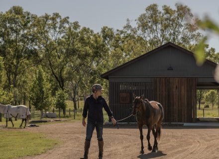 Sun Ranch, Milora_9