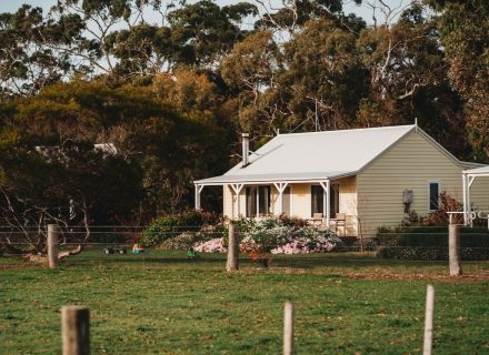 Sunflower Cottages, Freshwater Creek 10