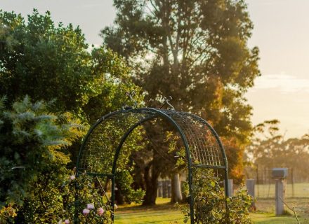 Sunflower Cottages, Freshwater Creek 21