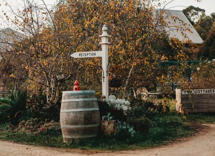 Sunflower Cottages, Freshwater Creek 7